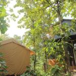 TREE HOUSE