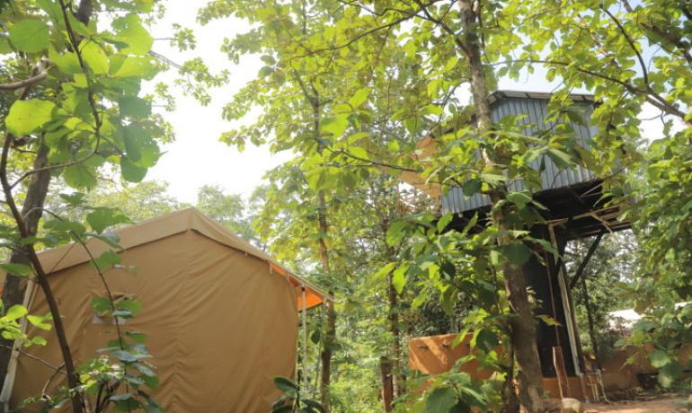 TREE HOUSE