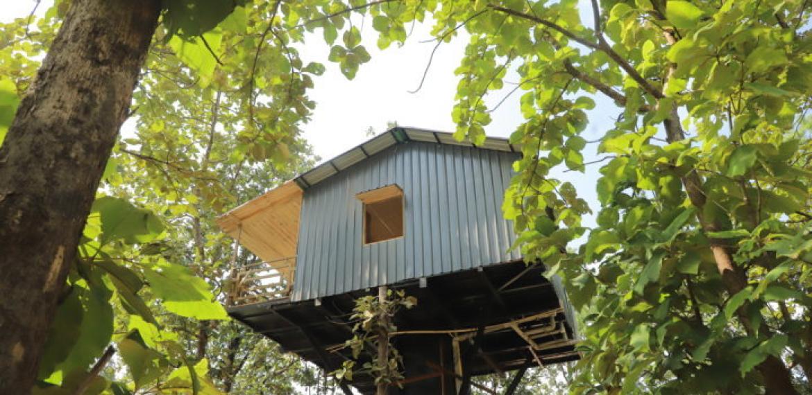 TREE HOUSE