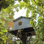 TREE HOUSE