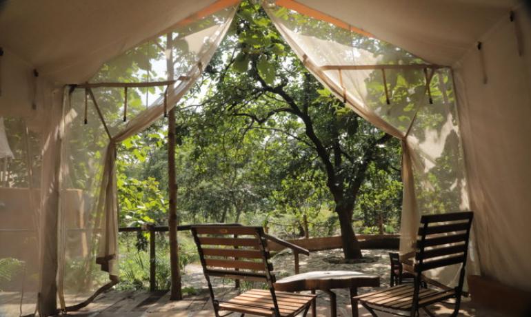 SAFARI COTTAGE WITH JACCUZI