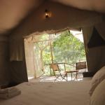 SAFARI COTTAGE WITH JACCUZI