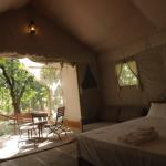 SAFARI COTTAGE WITH JACCUZI