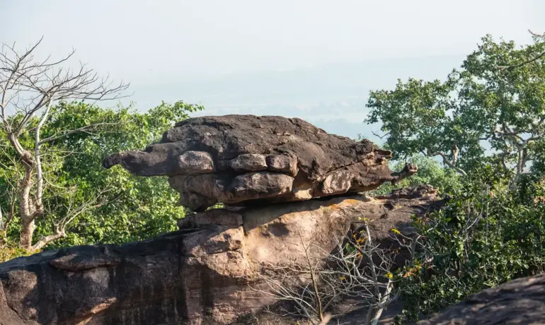 Bhimbetka Rock Shelters
