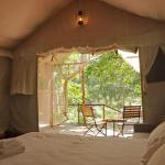 SAFARI COTTAGE WITH JACCUZI